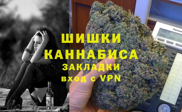 spice Осинники
