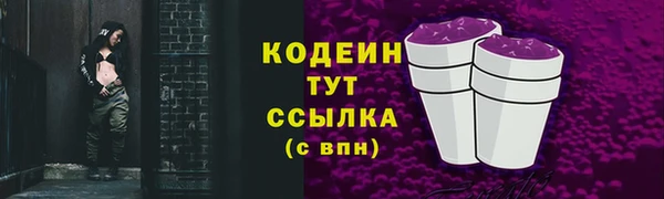 spice Осинники