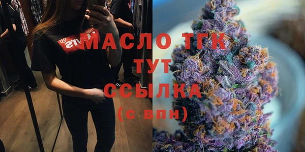 спиды Пересвет
