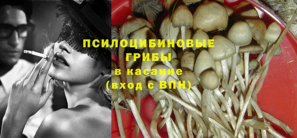 spice Осинники