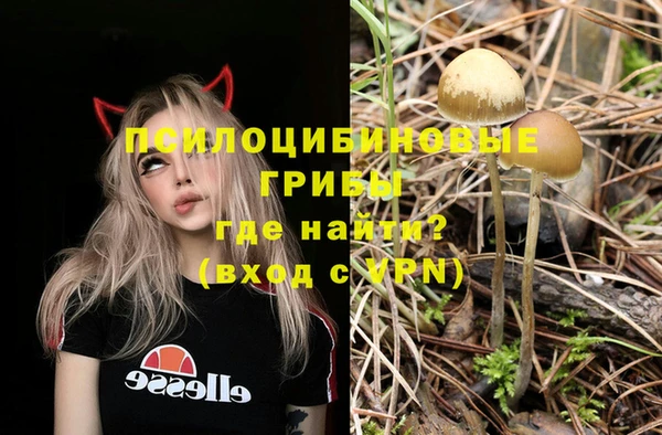 мескалин Гвардейск