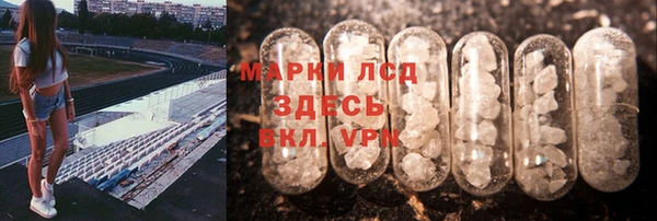 spice Осинники