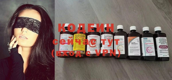 спиды Пересвет